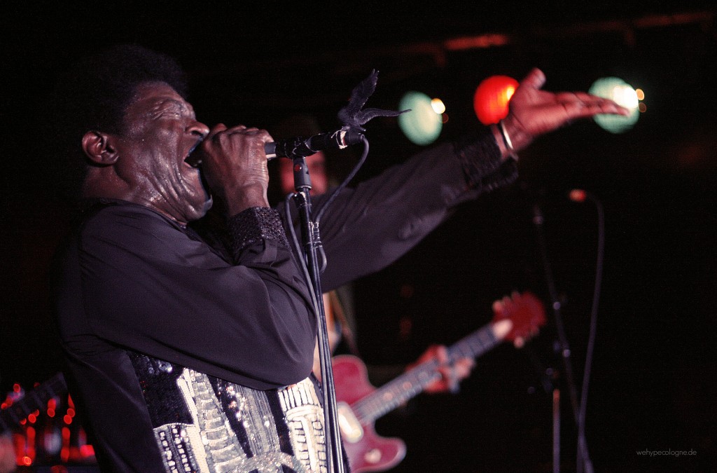 Charles Bradley Luxor 3